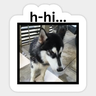 Shy Black Husky Dog Nervous Hi Simple Sticker